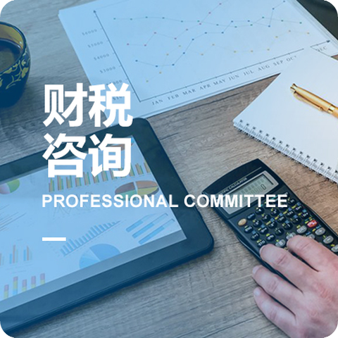 福建省信息技術咨詢服務行業協會專業委員會介紹